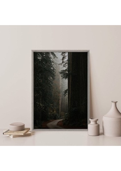 Ormanın Derinlikleri 1 Çerçeve ve Poster - DO1061 modelleri
