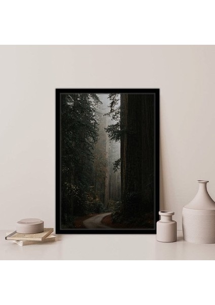 Ormanın Derinlikleri 1 Çerçeve ve Poster - DO1061 fırsatları
