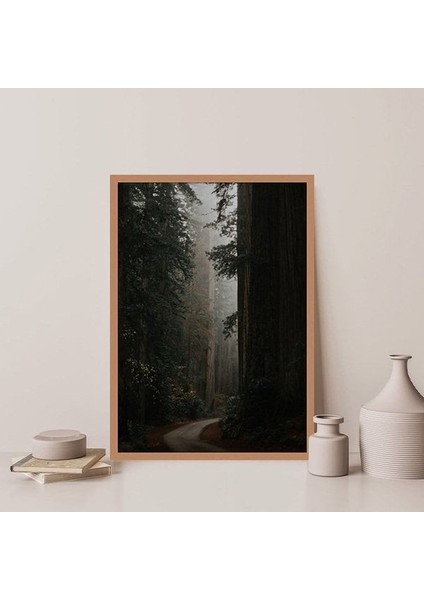 Ormanın Derinlikleri 1 Çerçeve ve Poster - DO1061 indirimleri