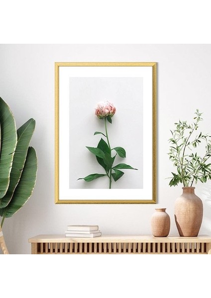 Pembe Gül 2 Çerçeve ve Poster - B1110