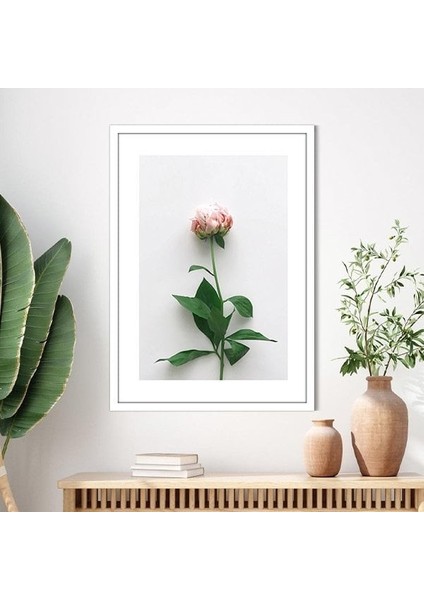 Pembe Gül 2 Çerçeve ve Poster - B1110 modelleri