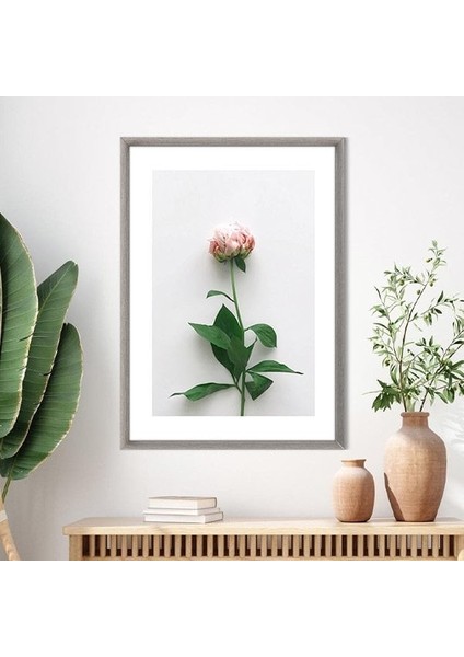 Pembe Gül 2 Çerçeve ve Poster - B1110 indirimleri