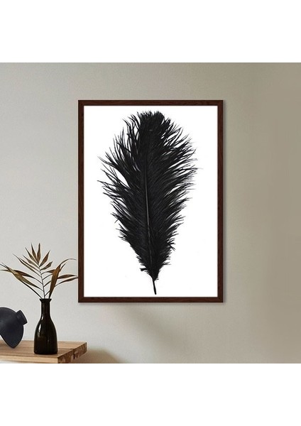 Siyah Kuş Tüyü 4 Çerçeve ve Poster - H1076 fırsatları