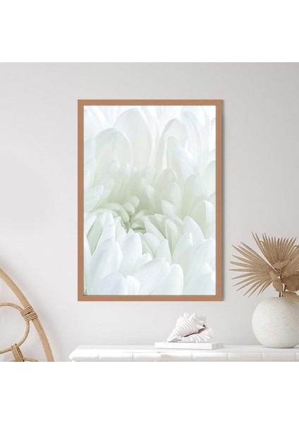 Beyaz Gül 5 Çerçeve ve Poster - B1229