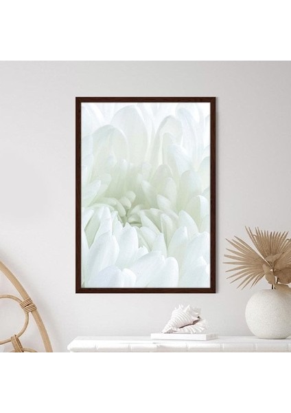 Beyaz Gül 5 Çerçeve ve Poster - B1229 modelleri