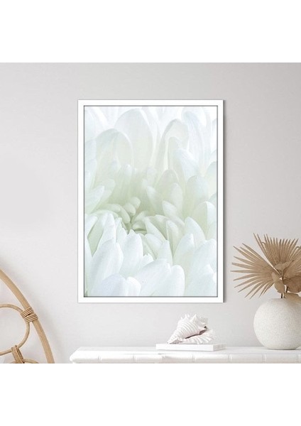 Beyaz Gül 5 Çerçeve ve Poster - B1229 fırsatları