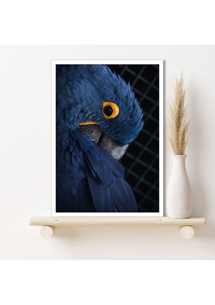 Lacivert Kuş 1 Çerçeve ve Poster - H1025 fiyatları