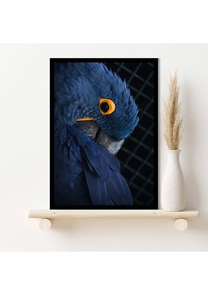 Lacivert Kuş 1 Çerçeve ve Poster - H1025 modelleri