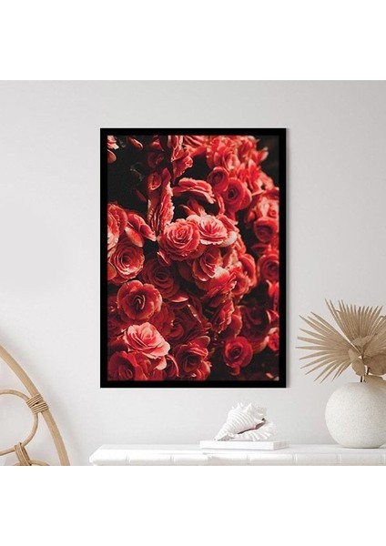 Bordo Güller 1 Çerçeve ve Poster - B1091