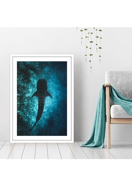 Balina 1 Çerçeve ve Poster - DO1043