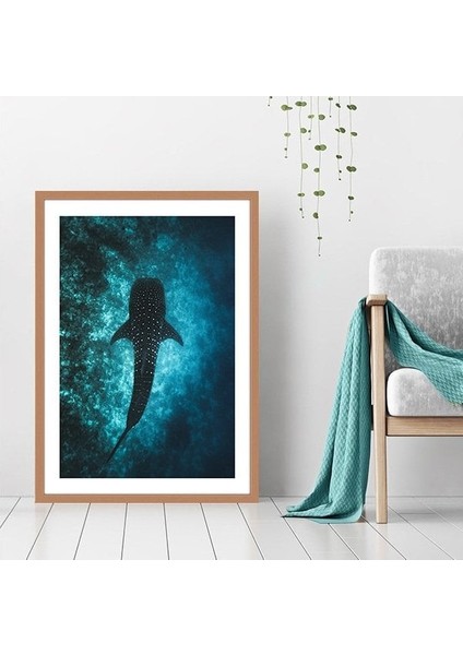 Balina 1 Çerçeve ve Poster - DO1043 fırsatları