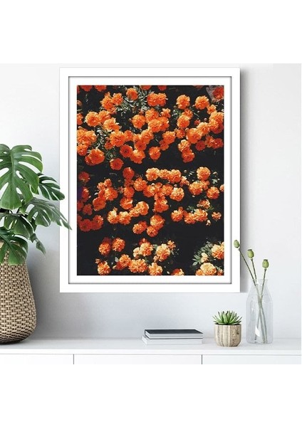 Turuncu Çiçekler 1 Çerçeve ve Poster - B1238 modelleri