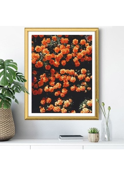 Turuncu Çiçekler 1 Çerçeve ve Poster - B1238 indirimleri