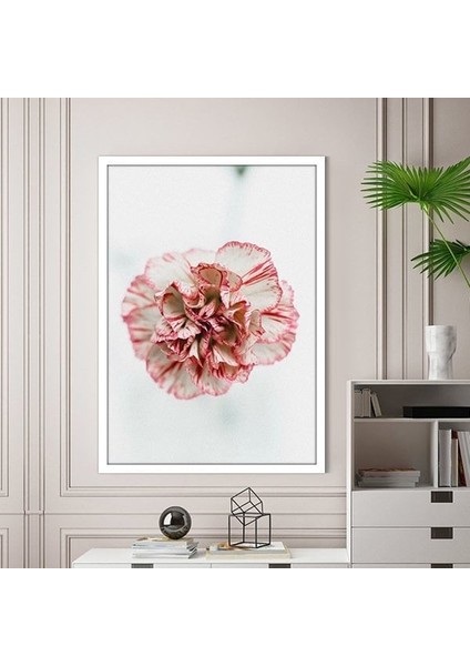 Pembe Karanfil 1 Çerçeve ve Poster - B1163
