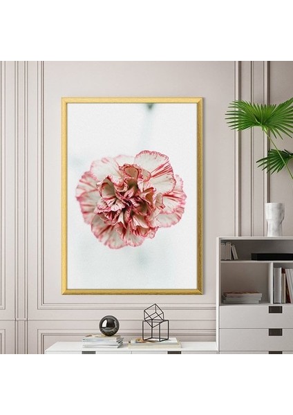 Pembe Karanfil 1 Çerçeve ve Poster - B1163 fiyatları