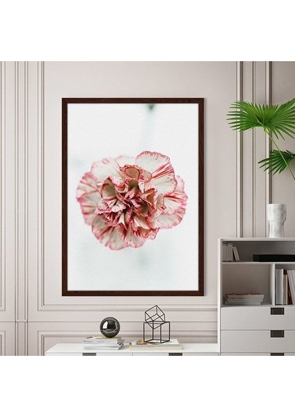 Pembe Karanfil 1 Çerçeve ve Poster - B1163 modelleri