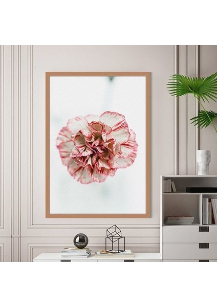 Pembe Karanfil 1 Çerçeve ve Poster - B1163 fırsatları