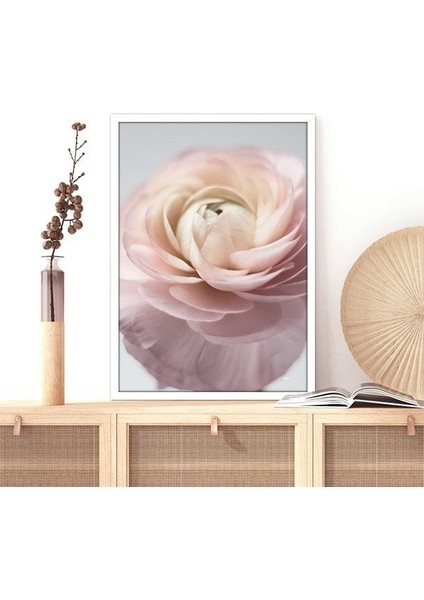 Pembe Gül 7 Çerçeve ve Poster - B1170 fiyatları