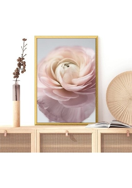 Pembe Gül 7 Çerçeve ve Poster - B1170 modelleri