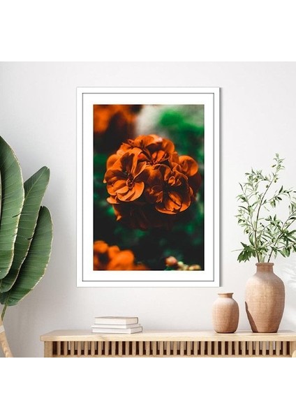 Turuncu Çiçekler 2 Çerçeve ve Poster - B1241 modelleri