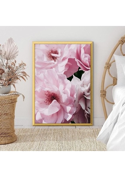 Pembe Şakayık 5 Çerçeve ve Poster - B1179 fiyatları