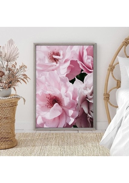 Pembe Şakayık 5 Çerçeve ve Poster - B1179 fırsatları