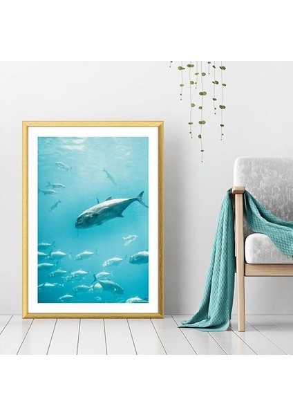 Balıklar 2 Çerçeve ve Poster - DO1039