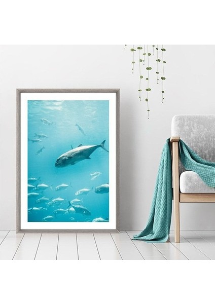 Balıklar 2 Çerçeve ve Poster - DO1039 fiyatları