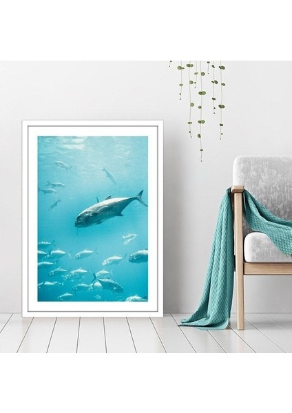 Balıklar 2 Çerçeve ve Poster - DO1039 modelleri