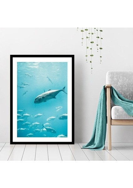 Balıklar 2 Çerçeve ve Poster - DO1039 fırsatları