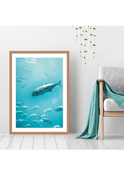 Balıklar 2 Çerçeve ve Poster - DO1039 indirimleri