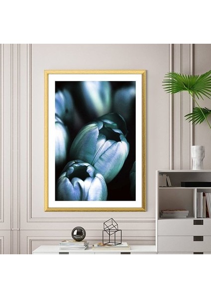 Lale 1 Çerçeve ve Poster - B1122 fiyatları