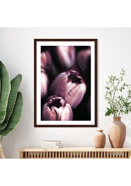 Mor Lale 2 Çerçeve ve Poster - B1138