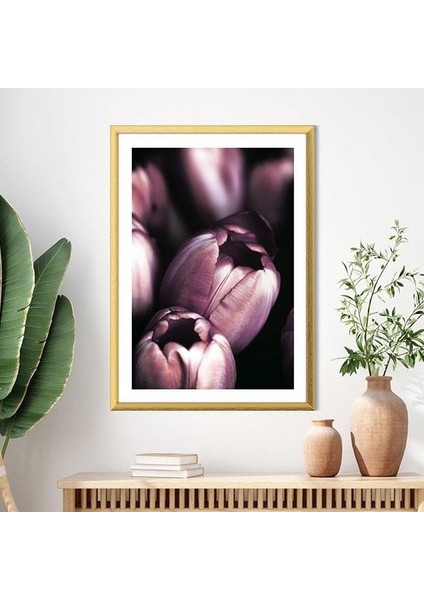 Mor Lale 2 Çerçeve ve Poster - B1138 modelleri