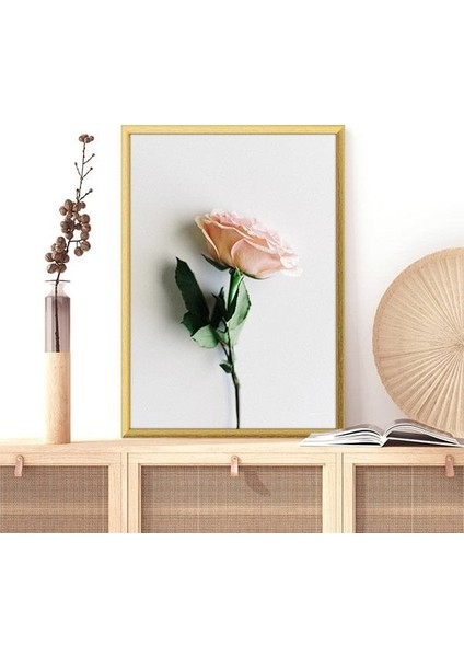 Pembe Gül 8 Çerçeve ve Poster - B1171