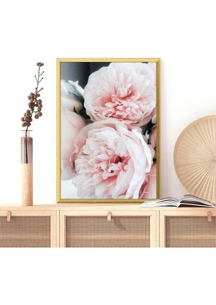 Yavru Ağzı Şakayık 2 Çerçeve ve Poster - B1195 fiyatları