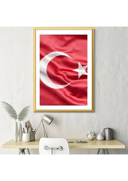 Bayrak 1 Çerçeve ve Poster - ATA1009 modelleri