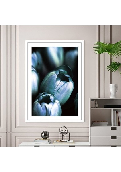 Lale 1 Çerçeve ve Poster - B1122 modelleri