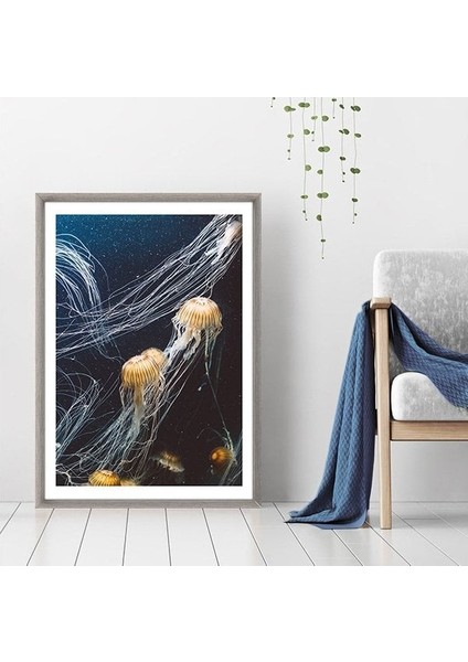 Deniz Anası 1 Çerçeve ve Poster - DO1042 modelleri