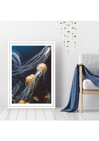 Deniz Anası 1 Çerçeve ve Poster - DO1042 fırsatları