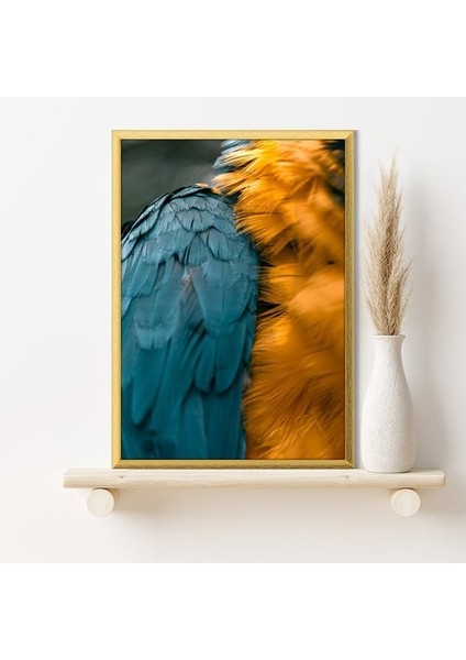 Turuncu & Mavi Papağan Tüyleri 1 Çerçeve ve Poster - H1026