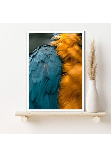 Turuncu & Mavi Papağan Tüyleri 1 Çerçeve ve Poster - H1026 fiyatları