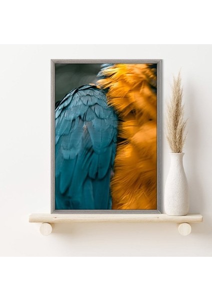Turuncu & Mavi Papağan Tüyleri 1 Çerçeve ve Poster - H1026 fırsatları