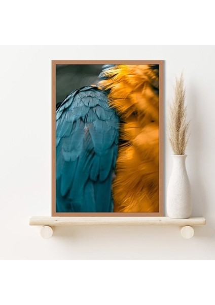 Turuncu & Mavi Papağan Tüyleri 1 Çerçeve ve Poster - H1026 indirimleri