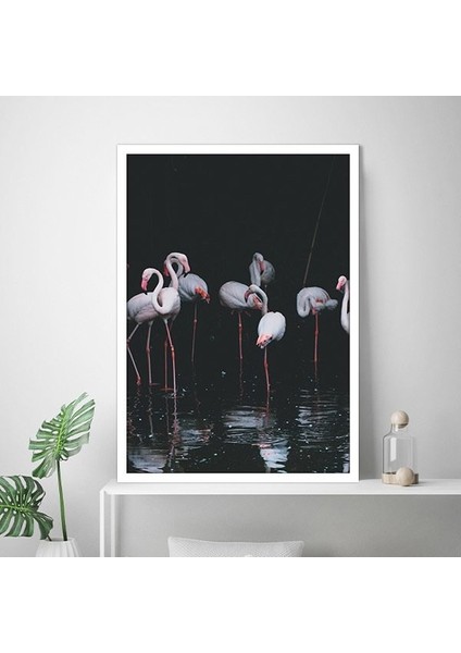 Flamingo 2 Çerçeve ve Poster - H1072