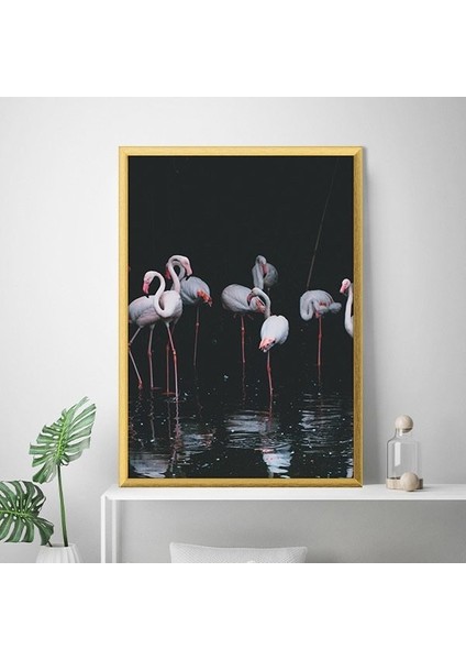 Flamingo 2 Çerçeve ve Poster - H1072