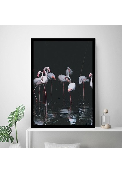 Flamingo 2 Çerçeve ve Poster - H1072