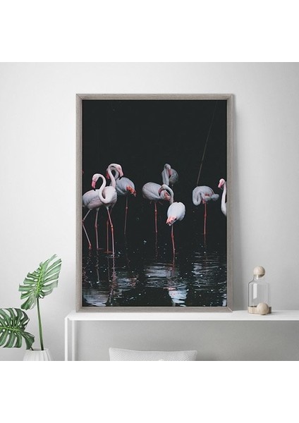 Flamingo 2 Çerçeve ve Poster - H1072