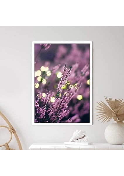 Mor Lavanta 2 Çerçeve ve Poster - B1139