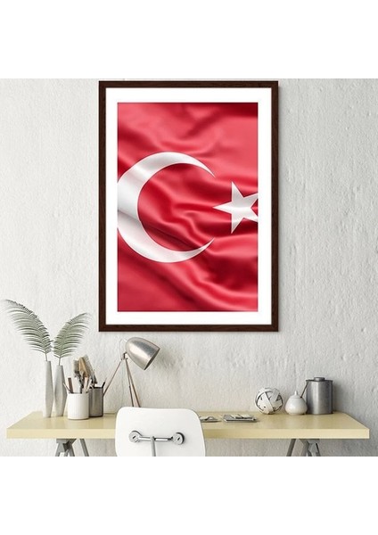 Bayrak 1 Çerçeve ve Poster - ATA1009